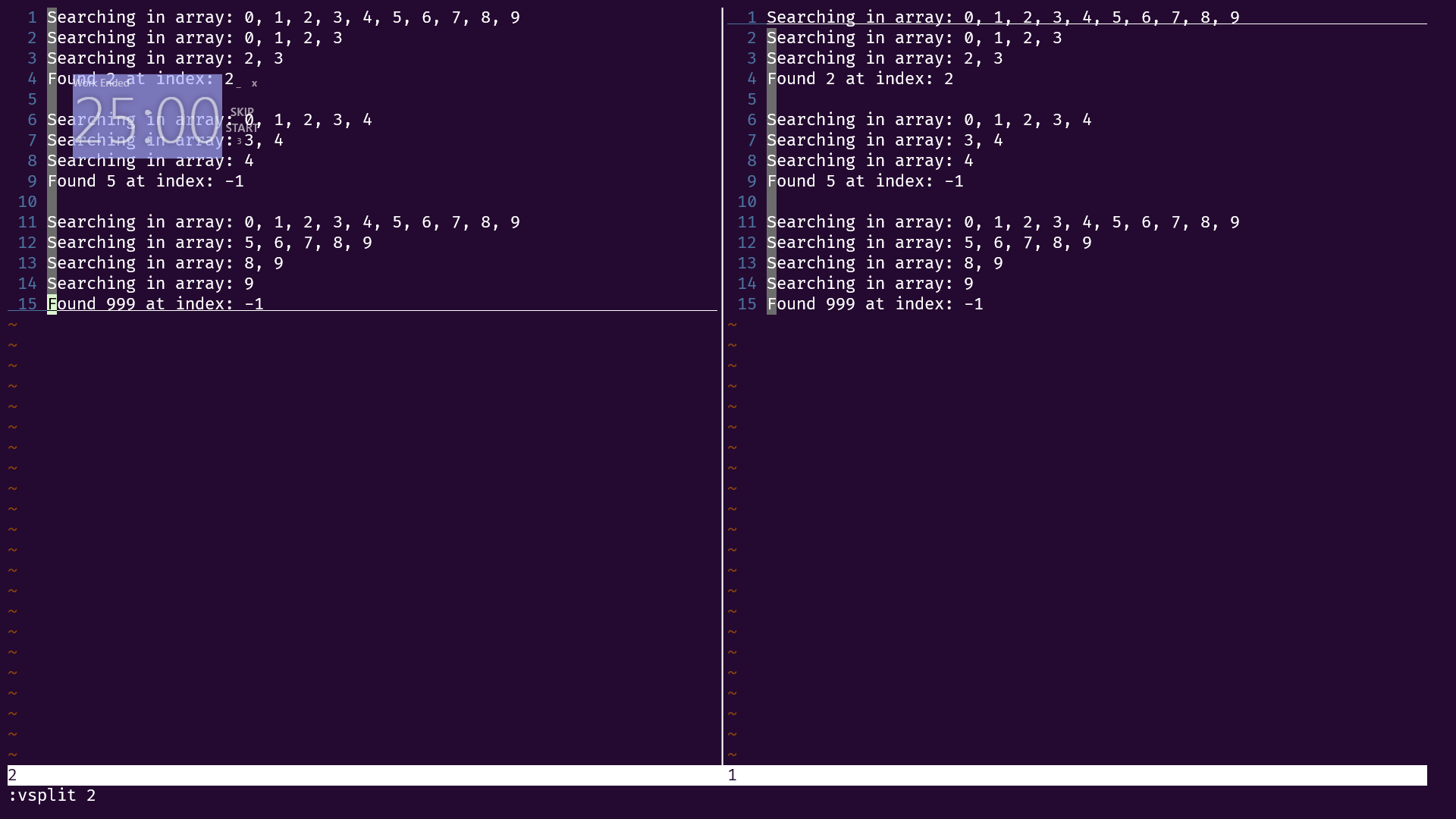 A screenshot of vim displaying both open files